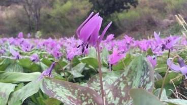 施設の敷地 / 20