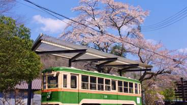 旧仙台市電車両 / 2