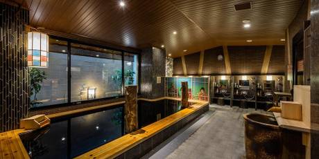 天然温泉 凌雲の湯 御宿 野乃浅草