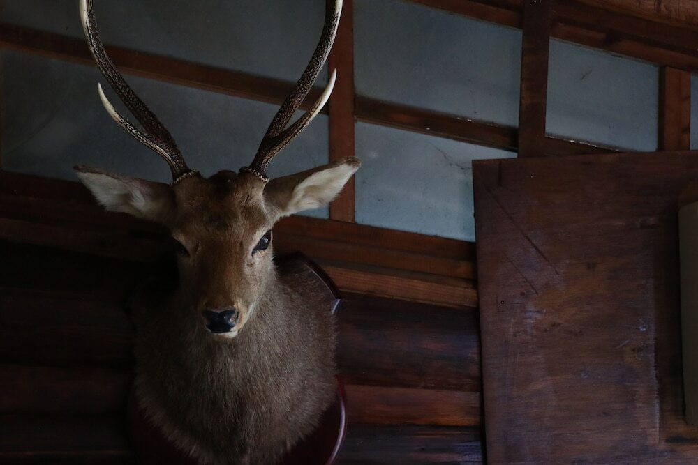 内部エントランス