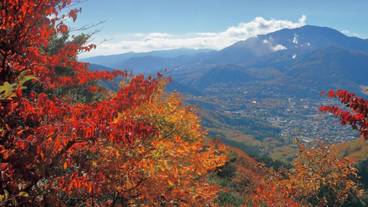 シティ ビュー / 28