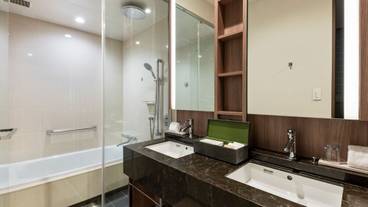 ホテル ザ セレスティン銀座（ホテル ザ セレスティンギンザ） / 8