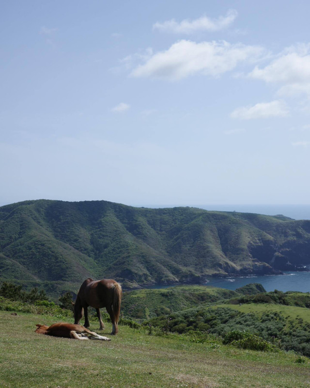 omoide_mmmさんの写真 / 2