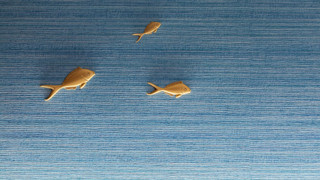 ルーム キングベッド 1 台