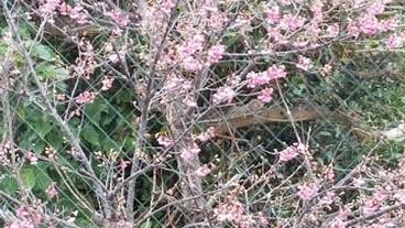 施設からの眺望 / 39