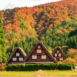 美しい秋の景色に癒される♡岐阜の紅葉を巡る、女友達とドライブ旅行6選