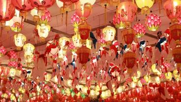 シティ ビュー / 16