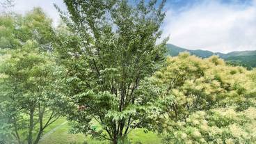 部屋からの景観 / 9