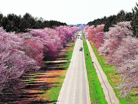 ホテル アネックス イン / 4