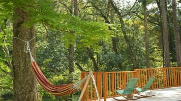 バーベキュー / ピクニック エリア / 36