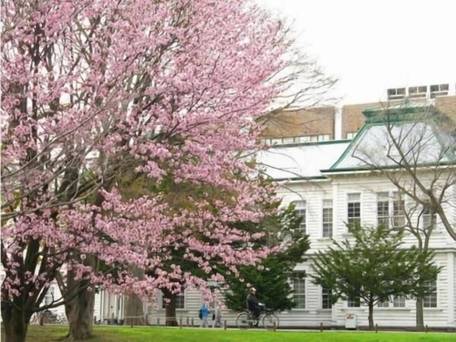 札幌クラークホテル / 5