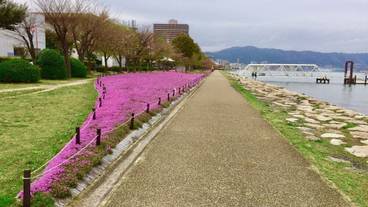 観光スポット / 4