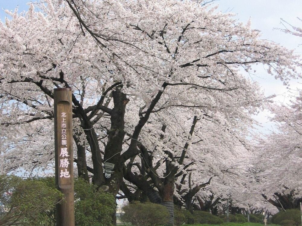 施設からの眺望
