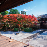 2度目の秋の京都はゆるりと楽しもう。カップルにおすすめ◎紅葉時期のスポット13選
