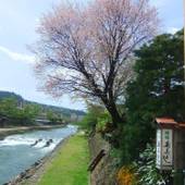 寿美吉旅館（岐阜県 旅館） / 5
