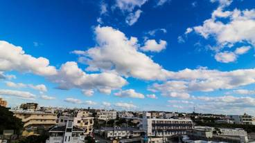 シティ ビュー / 28