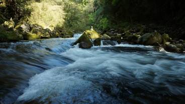 観光スポット / 39