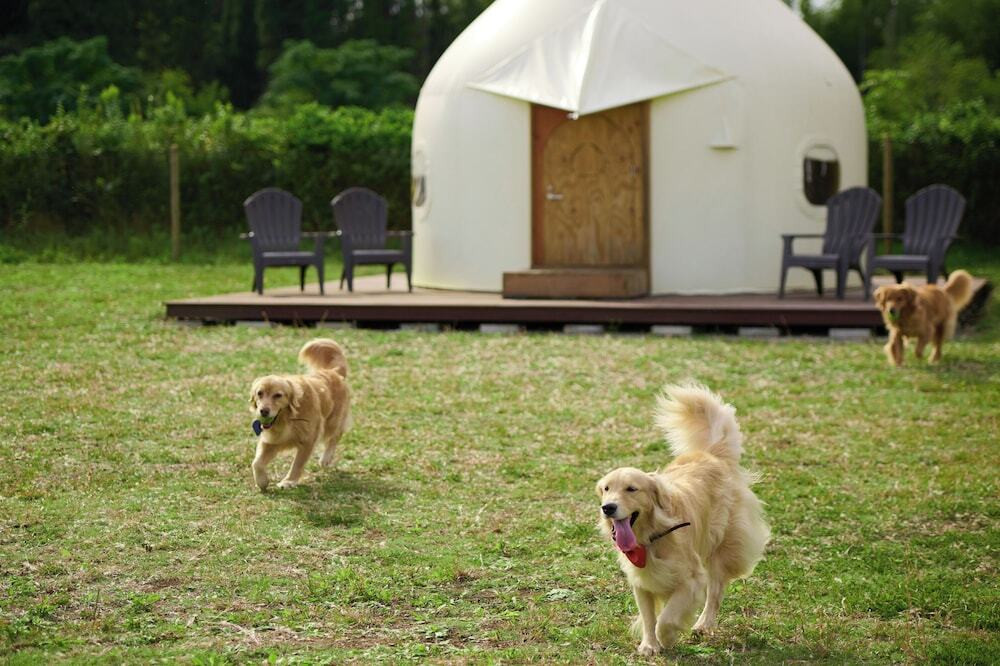 ペット用設備・サービス