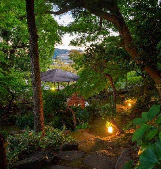 夕暮れ時の庭園を
ゆったり散策♪ / 1