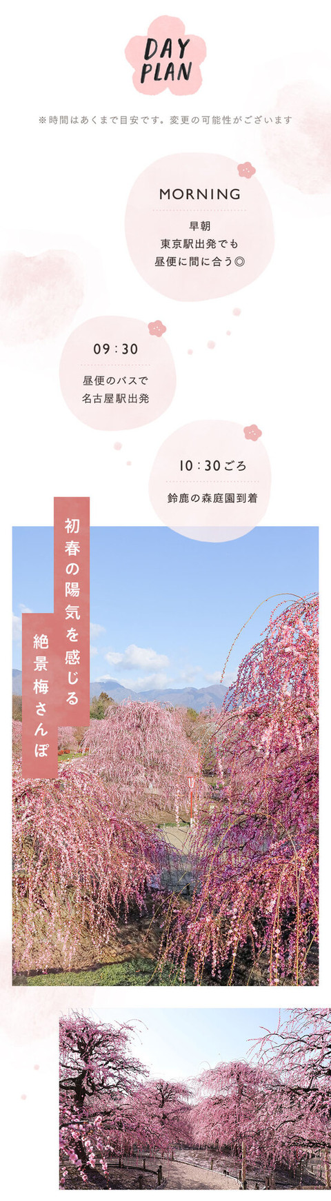 梅の花の香りに誘われて。幻想的なお花見 - 10