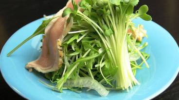 食事・飲み物 / 13