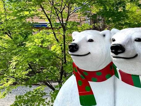 河口湖ヴィラ エフジェイリゾート / 5