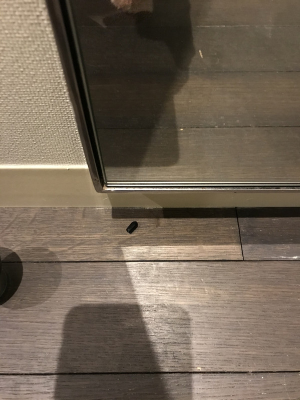 最初の部屋で落ちていたプラスチックゴミ