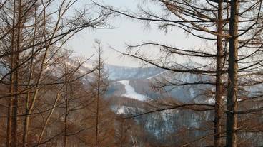 マウンテン ビュー / 17