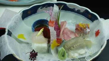 食事・飲み物 / 13