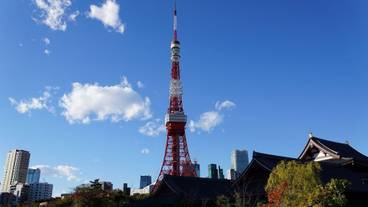 観光スポット / 15