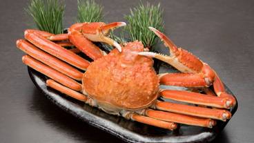 食事・飲み物 / 21