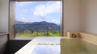 スーペリア ツインルーム ベッド (複数台) 専用バスルーム マウンテンビュー