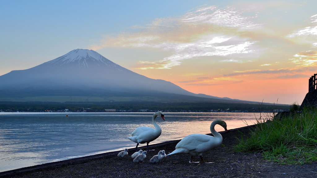 富士五湖で最大の「山中湖」666501