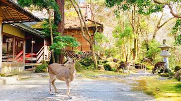 施設の敷地 / 19