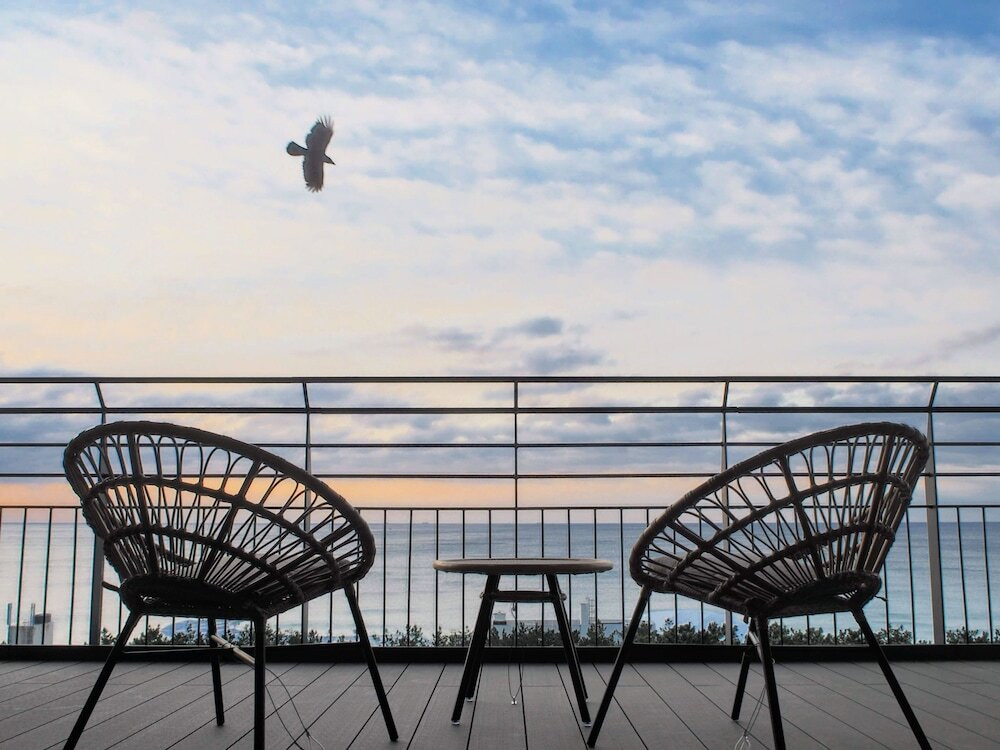 テラス / パティオ