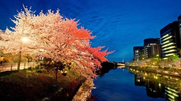 観光スポット / 28