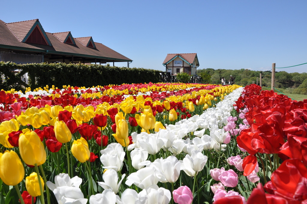 サクッと行ける木更津周辺で大人女子の週末旅♪3659263