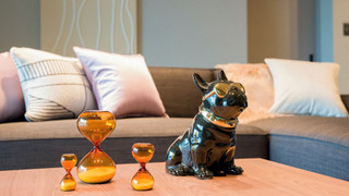 泊まれるショールーム ペット不可 禁煙