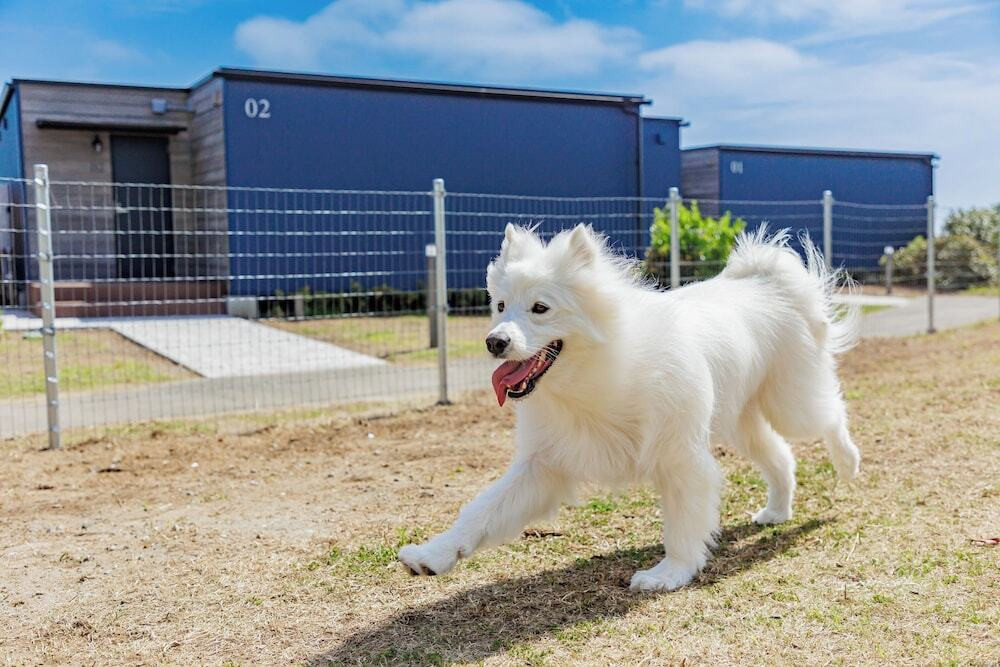 ペット用設備・サービス