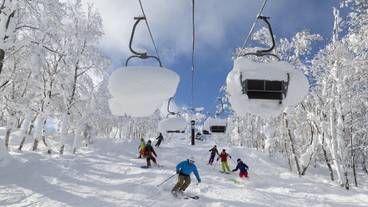 観光スポット / 14