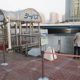 シーバス（シーバス）