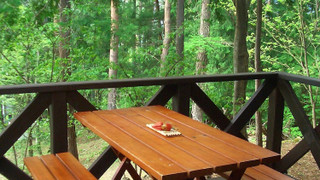 トラディショナル ヴィラ 禁煙