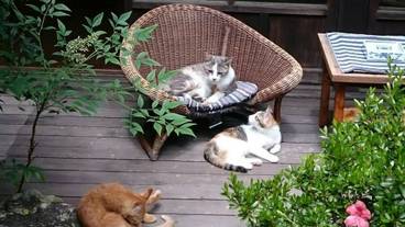 和味の宿 角上楼(ナゴミノヤド カクジョウロウ) / 1