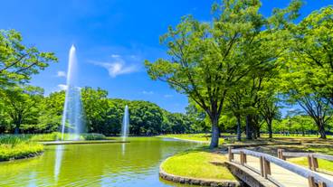 代々木公園 噴水池 / 2