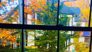 ツインルーム ガーデンビュー