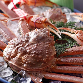 依山楼岩崎3564233