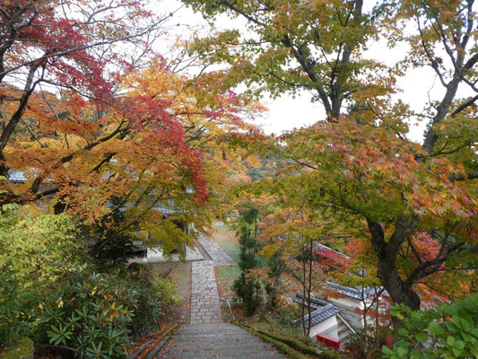 成相寺 / 2
