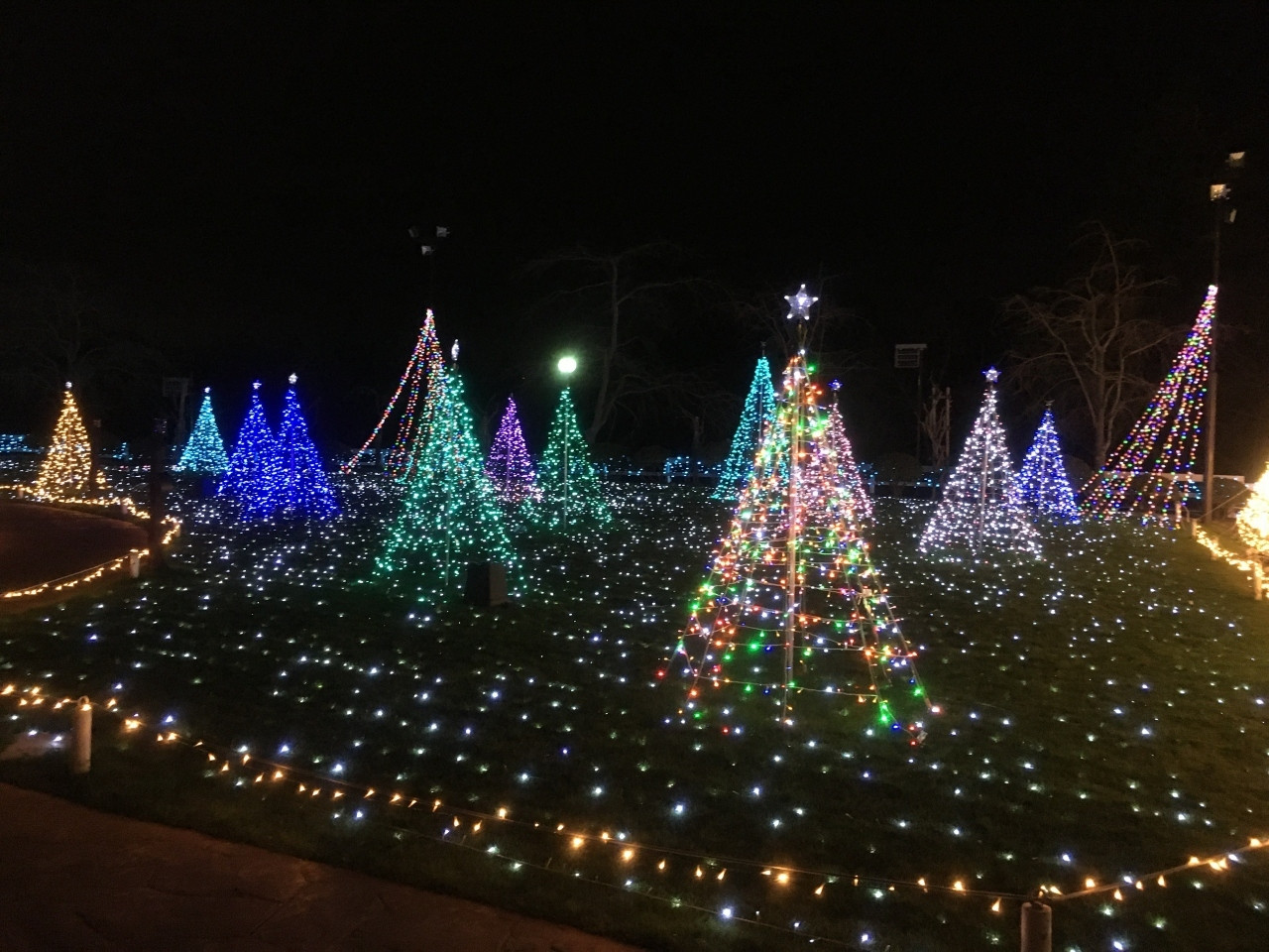 夏はプール、冬はイルミネーションと楽しみがたっぷり♪3653735