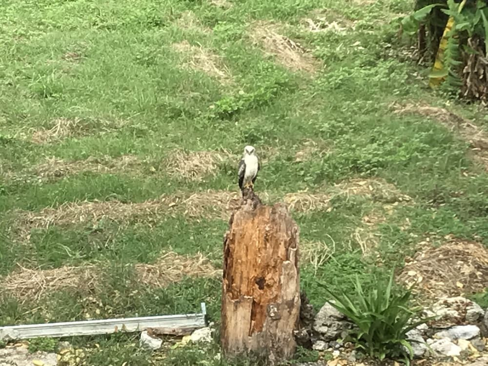 施設からの眺望