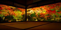 【2019最新】秋の京都はやっぱり美しい。心洗われる紅葉スポット7選